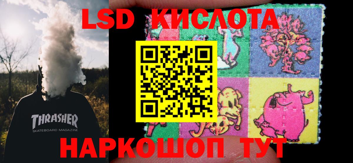 Камышин  мега ссылка  Лсд 25 экстази кислота  Вход с VPN  Лсд 25 экстази кислота 